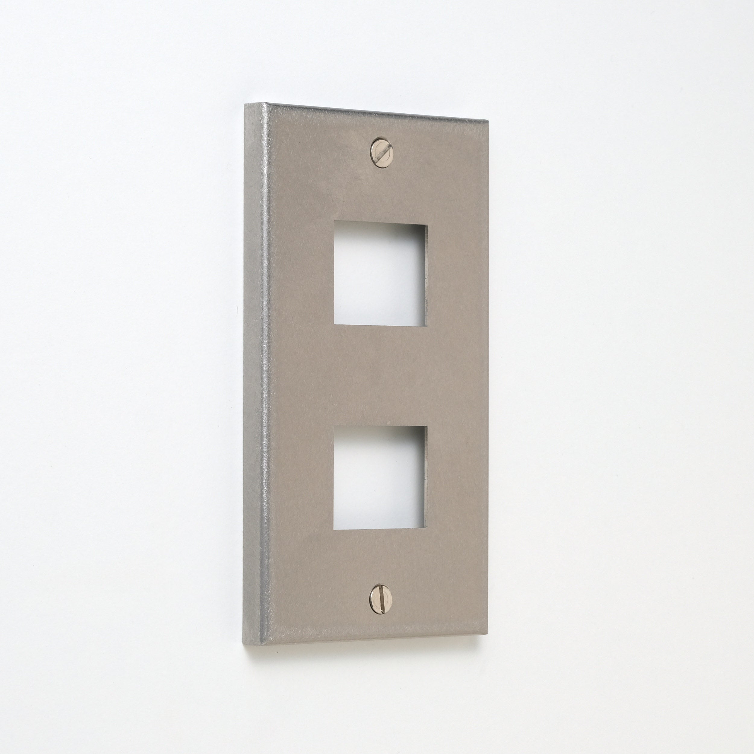 コンセンティック ステンレスバイブレーション プレート1連2口用