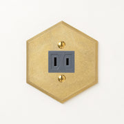 真鍮鋳造プレート（鋳肌） 半連１口用 六角 <br>+ NK 埋込コンセント グレー