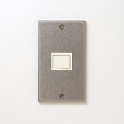 ステンレス（バイブレーション）プレート<br>+ パナソニック 埋込スイッチ シングル ホワイト