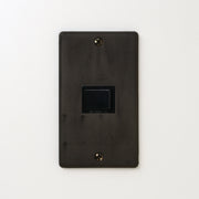 ステンレス（黒染）プレート<br>+ パナソニック 埋込スイッチ シングル ブラック