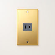 真鍮（素地） プレート<br>+ NK 埋込コンセント グレー