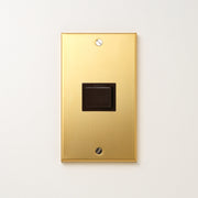 真鍮（素地） プレート<br>+ NK対応 埋込スイッチ シングル チョコ