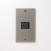 ステンレス（バイブレーション）プレート<br>+ パナソニック 埋込スイッチ シングル グレー