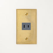 真鍮鋳造プレート（鋳肌） <br>+ NK 埋込コンセント グレー