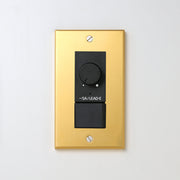 真鍮（素地） プレート <br>+ NK 正位相制御方式ライトコントロール＋片切、3路スイッチ　 ブラック