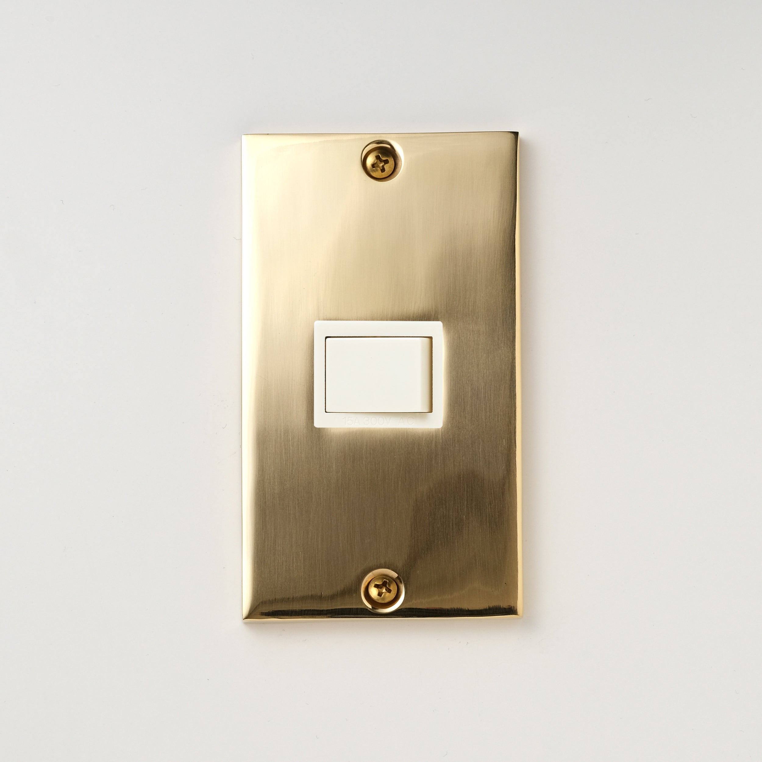 真鍮砂型鋳造（磨き）プレート<br>+ パナソニック 埋込スイッチ シングル ホワイト