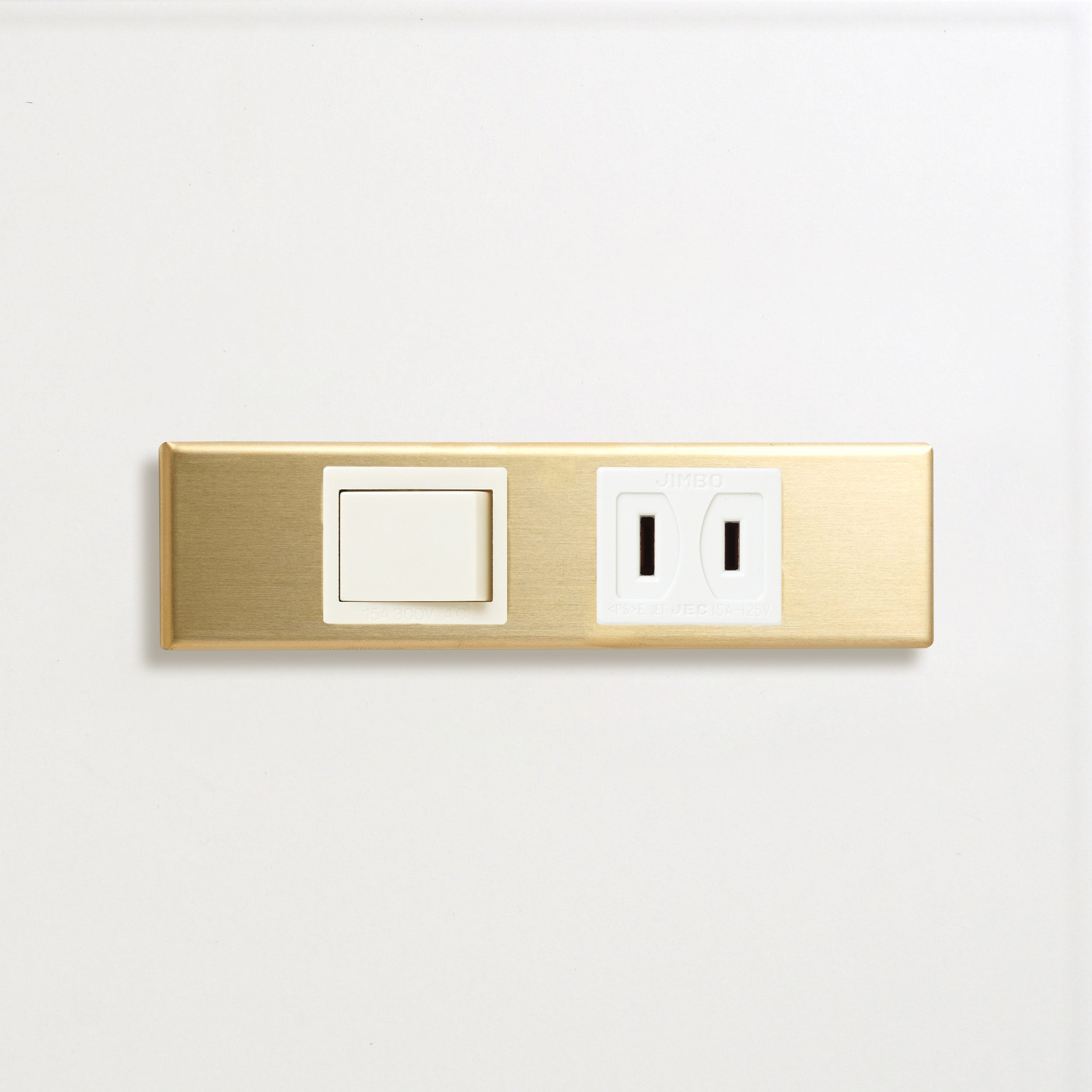 真鍮（素地） 家具用プレート2口用 + パナソニック 埋込スイッチ