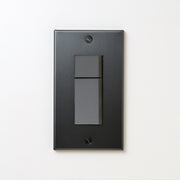 ステンレス（マットブラック）プレート <br>+ NK スイッチダブル グレー