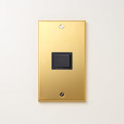 真鍮（素地） プレート<br>+ パナソニック 埋込スイッチ シングル グレー