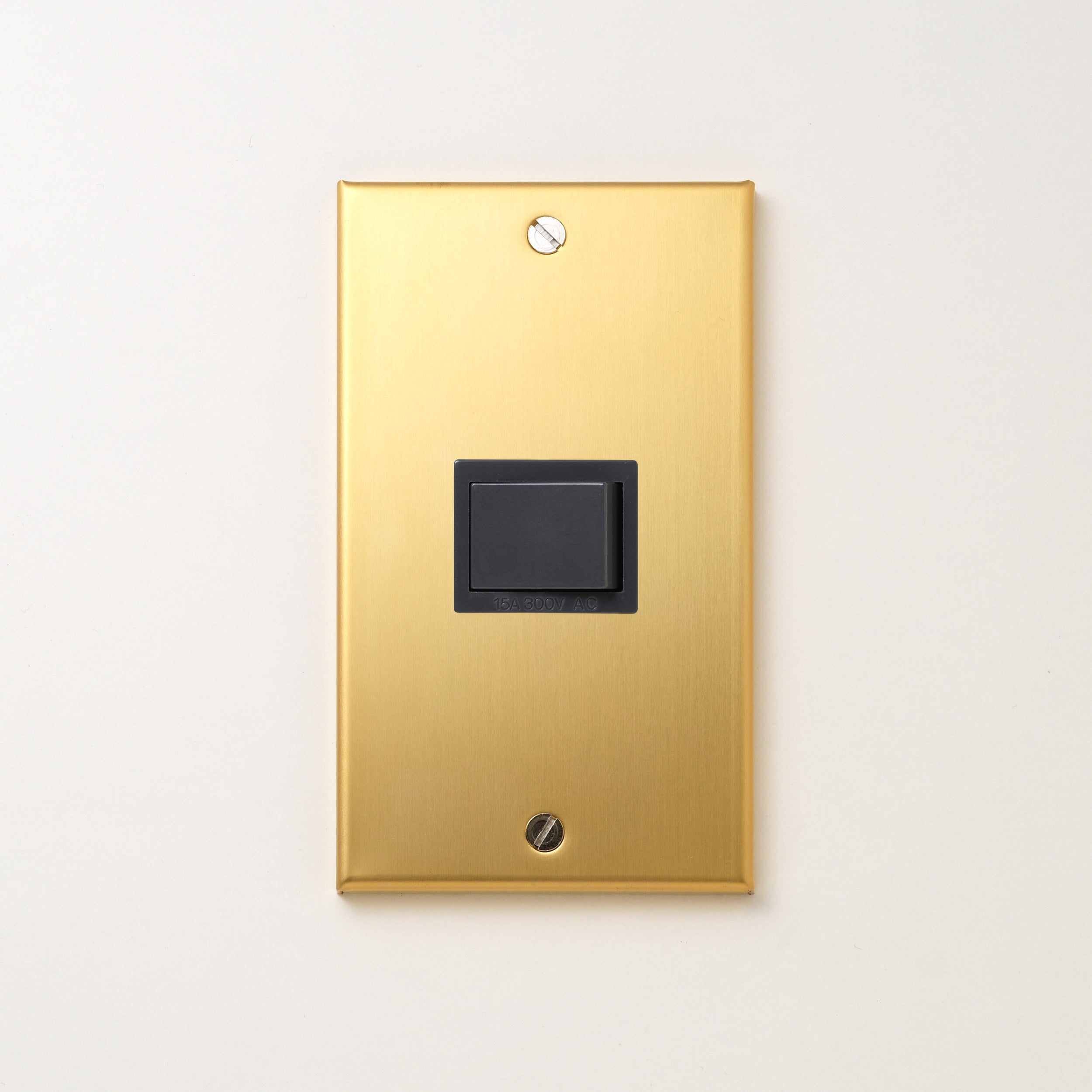 真鍮（素地） プレート<br>+ パナソニック 埋込スイッチ シングル グレー