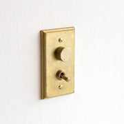 フタガミ スイッチ 真鍮 １連 １トグル＋LED調光器