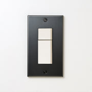 ステンレス（マットブラック）プレート <br>+ NK スイッチダブル ホワイト