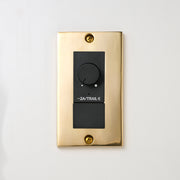 真鍮砂型鋳造（磨き）プレート <br>+ NK 逆位相制御方式ライトコントロール＋ブランクチップ付　 ブラック