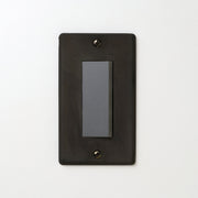 ステンレス（黒染）プレート <br>+ NK スイッチシングル グレー