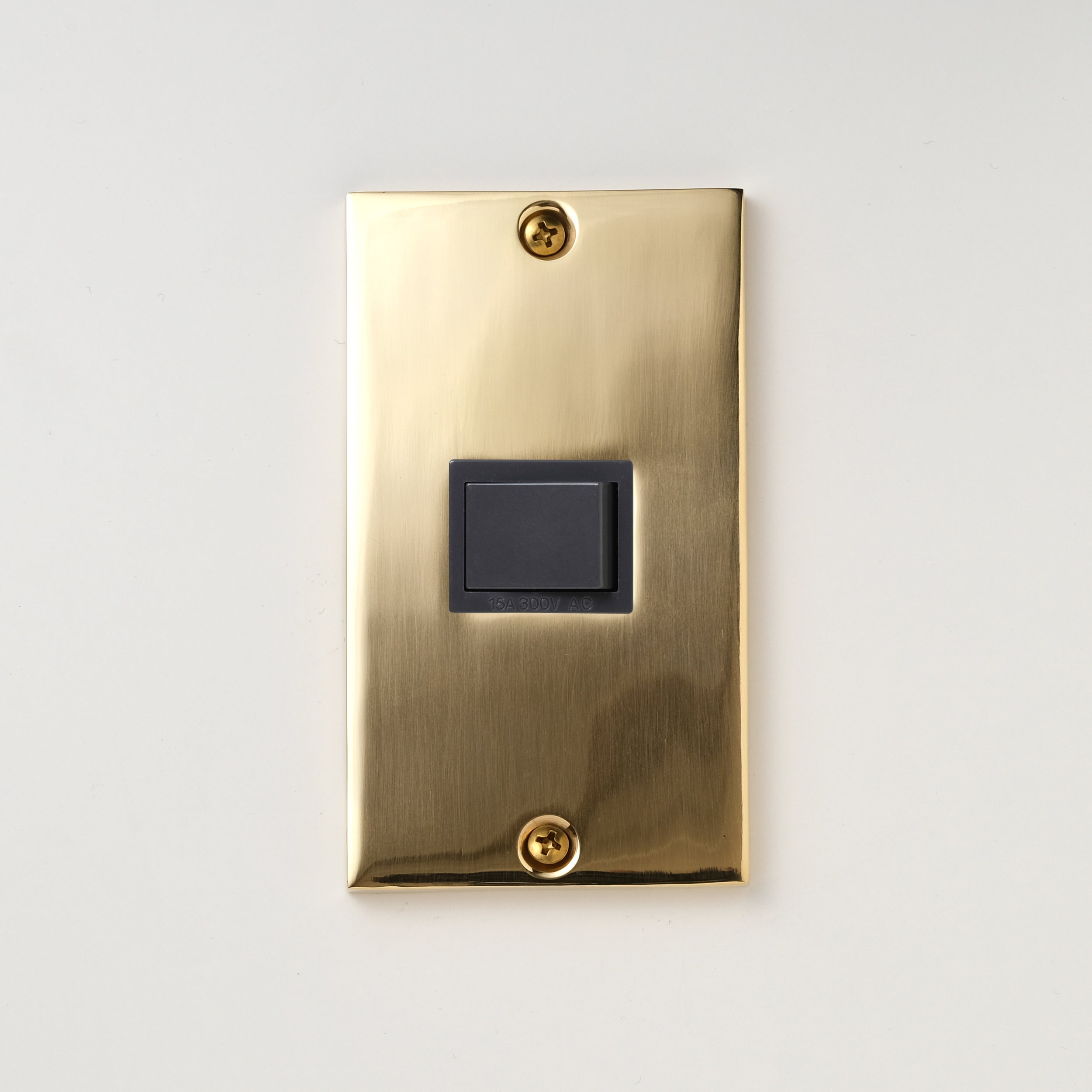 真鍮砂型鋳造（磨き）プレート<br>+ パナソニック 埋込スイッチ シングル グレー