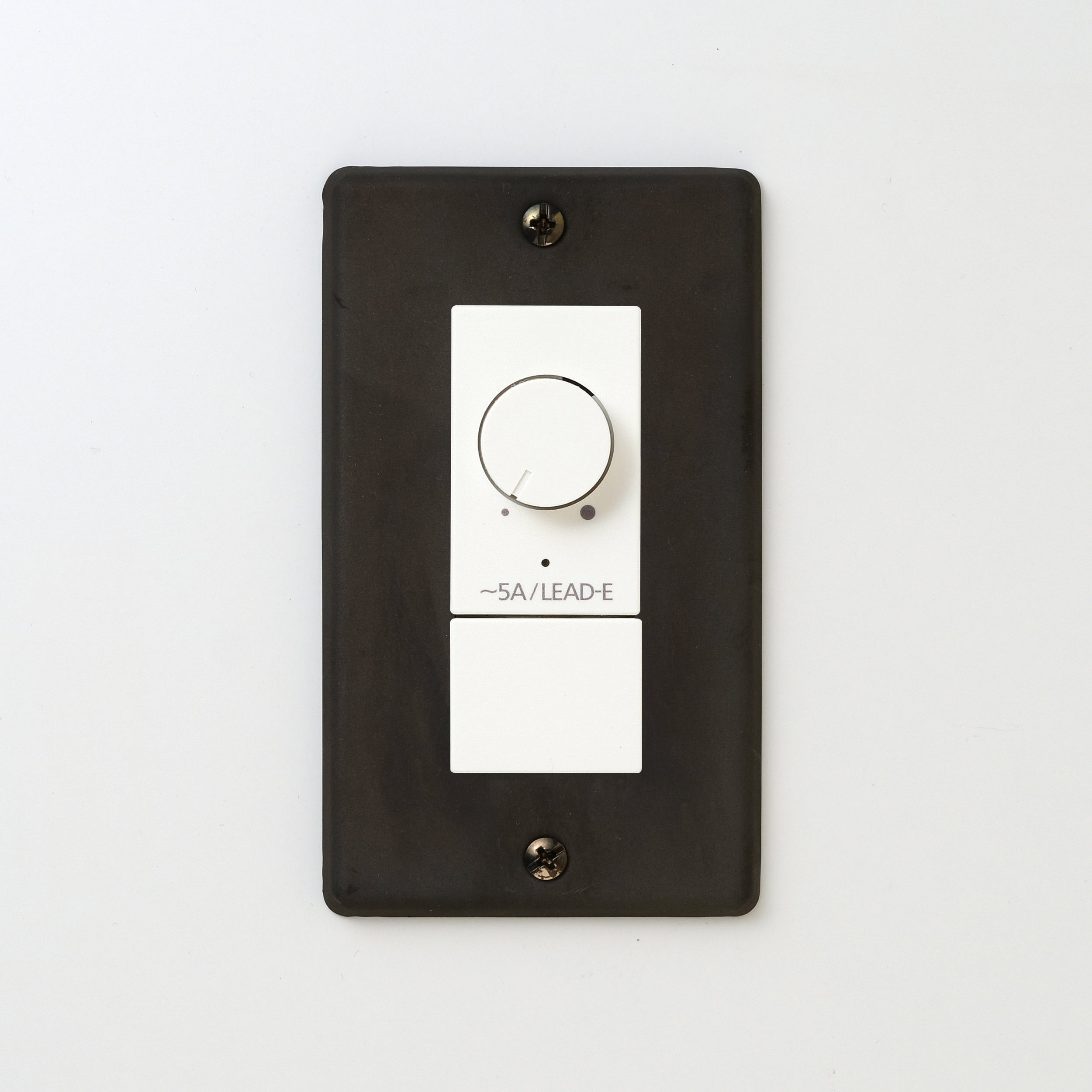 ステンレス（黒染）プレート <br>+ NK 正位相制御方式ライトコントロール＋ブランクチップ付　 ホワイト