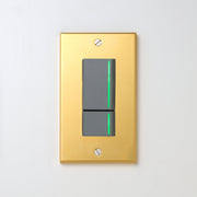 真鍮（素地） プレート <br>+ NK 片切、3路ガイドランプ（グリーン）スイッチダブル（上段大）  グレー