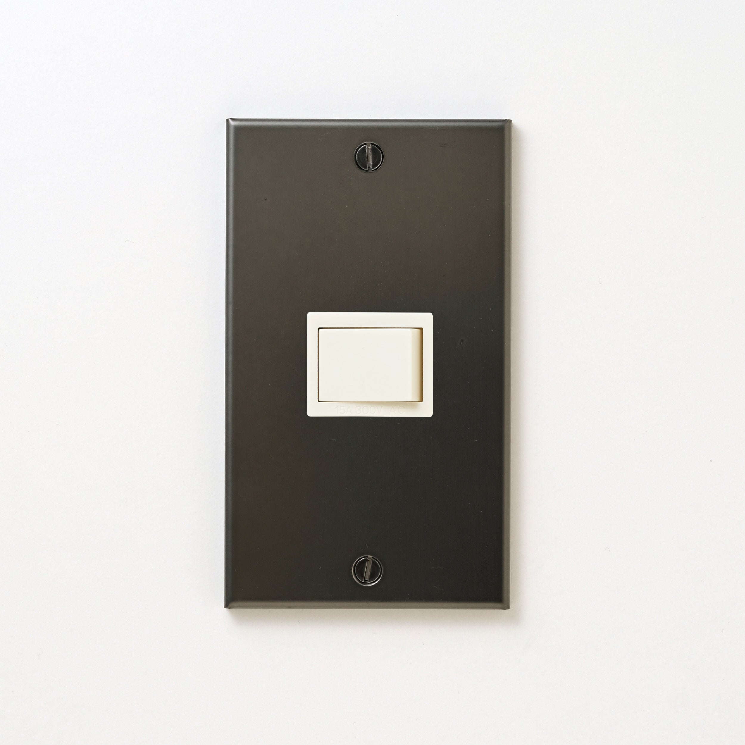 ステンレス（マットブラック）プレート<br> + パナソニック 埋込スイッチ シングル ホワイト